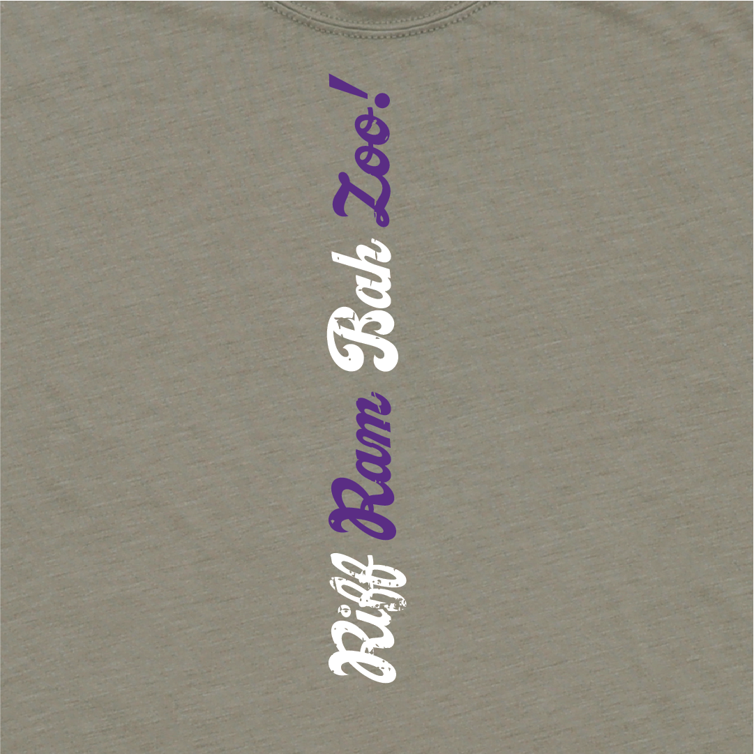 TCU - Horned Frogs spirit shirt